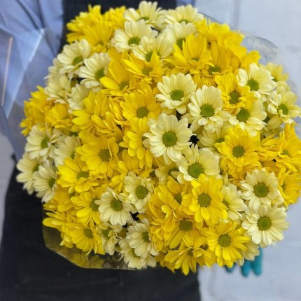 желтая кустовая хризантема - купить с доставкой в по Кизелу